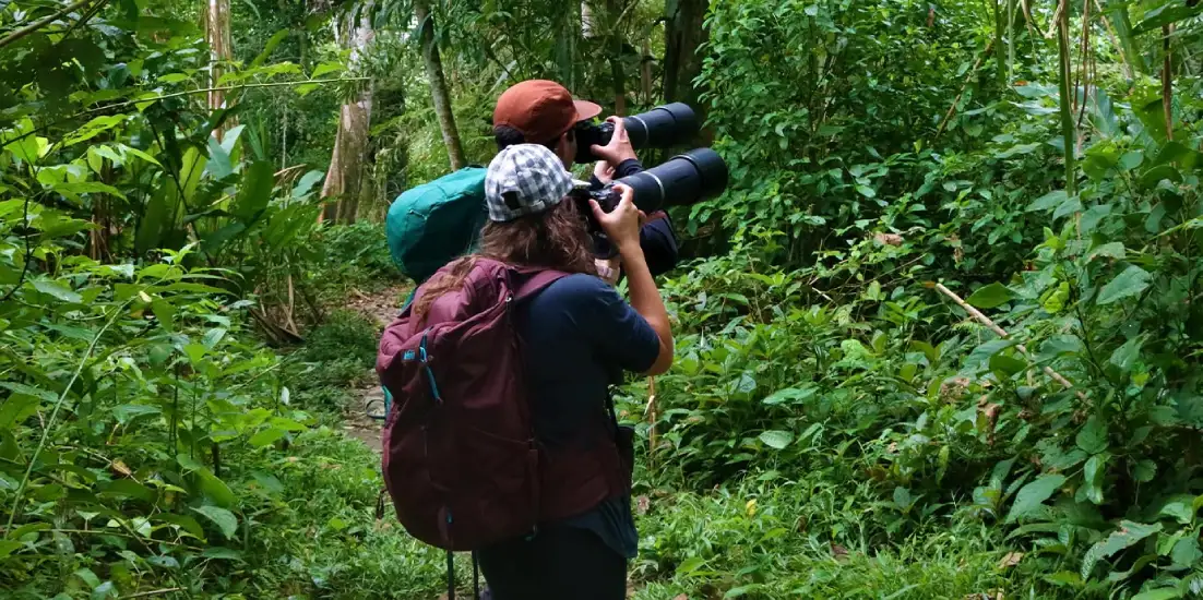 FIVE REASONS TO VISIT MANU NATIONAL PARK