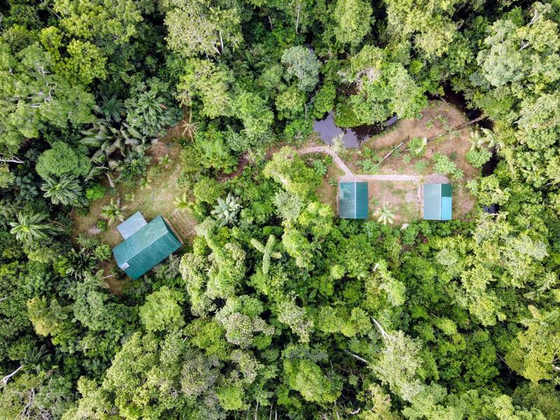 Aerial images of Hidden Jungle